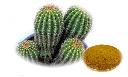 Hoodia gordoni dans le cadre de Reduslim